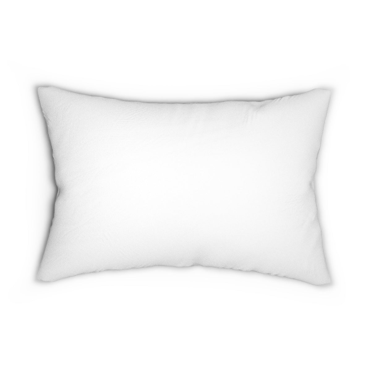 DG AR House Pillow