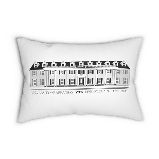 ZTA AR House Pillow