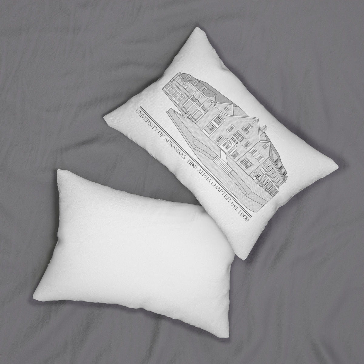Pi Phi AR House Pillow
