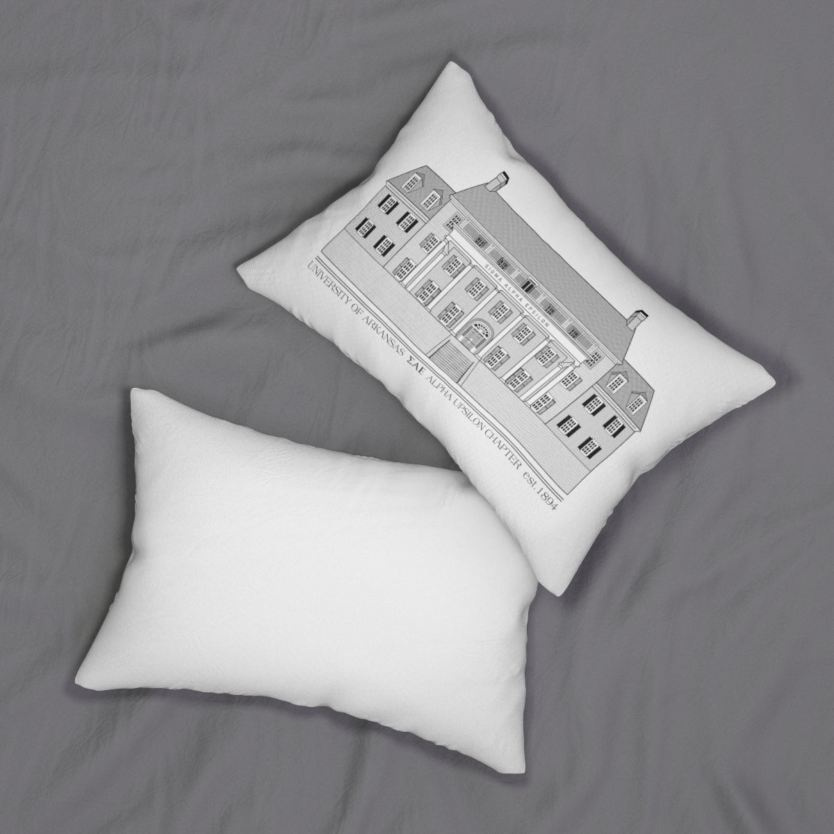 SAE AR House Pillow