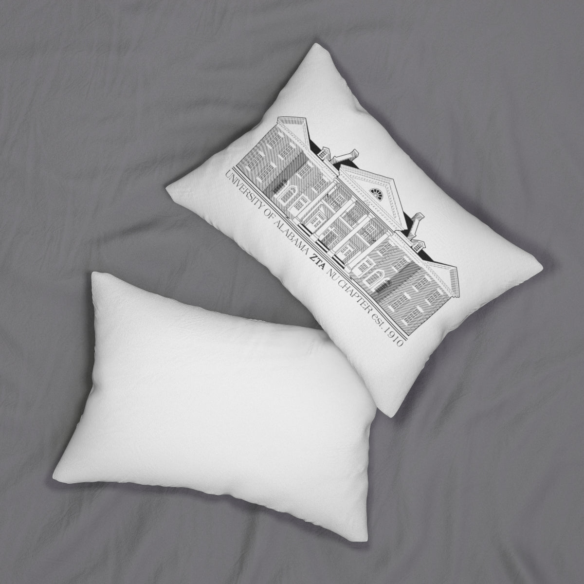 ZTA AL House Pillow