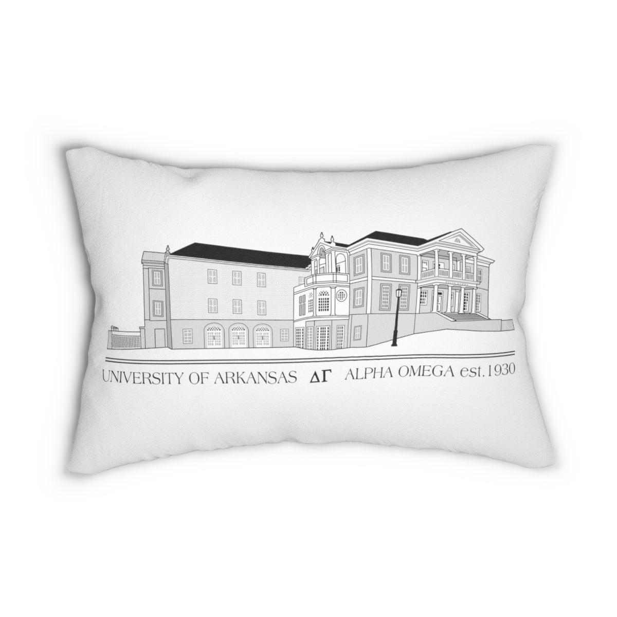 DG AR House Pillow