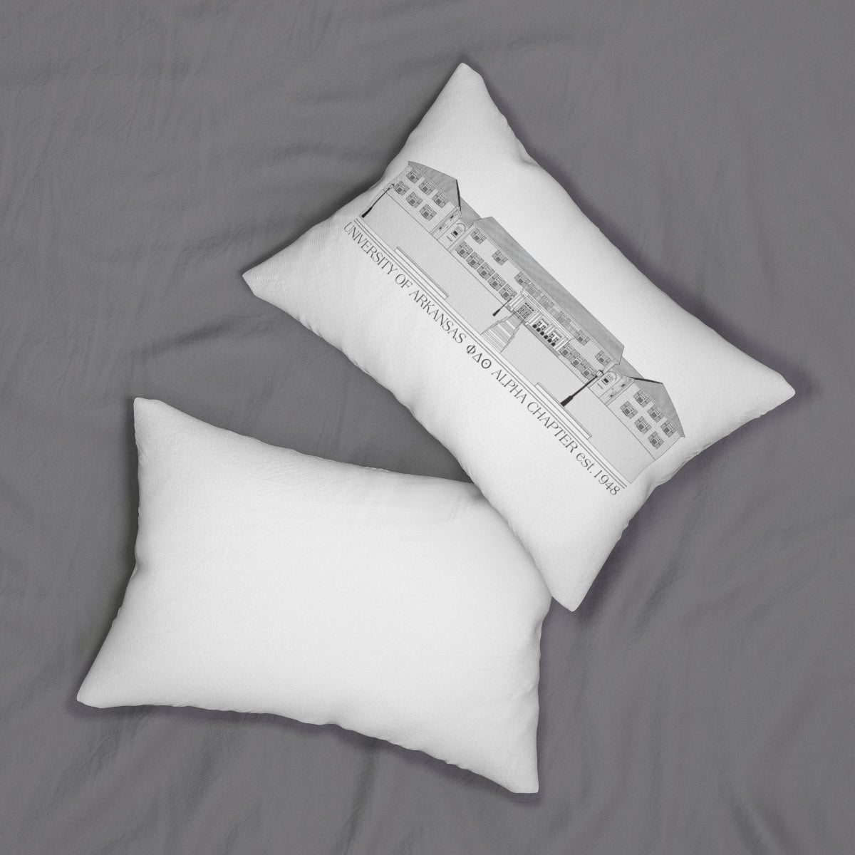 Phi Delta AR House Pillow
