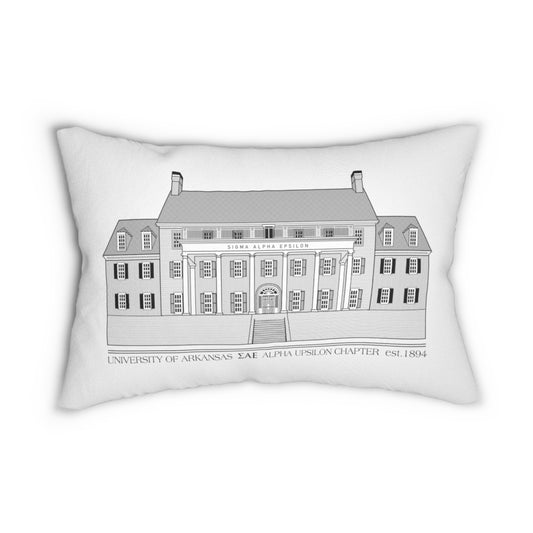 SAE AR House Pillow